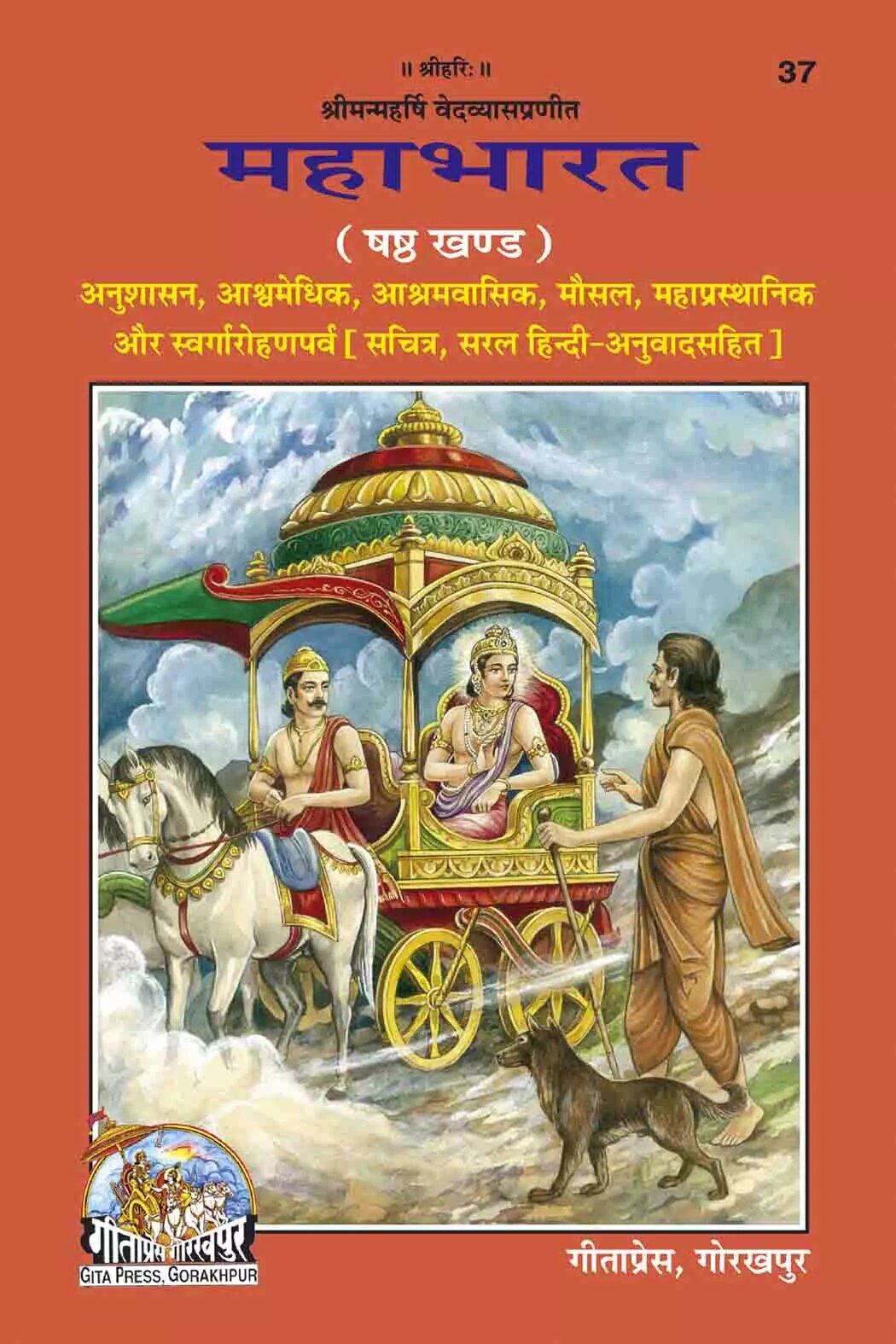 Mahabharata VI Hindi